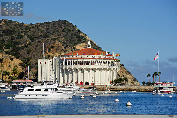 скачать додаток казино vbet