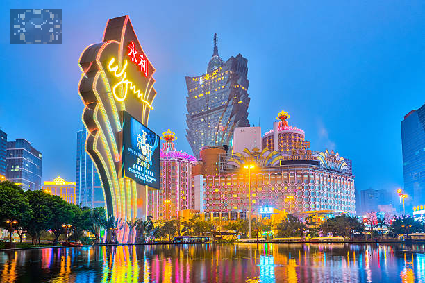 приложение казино pingwin